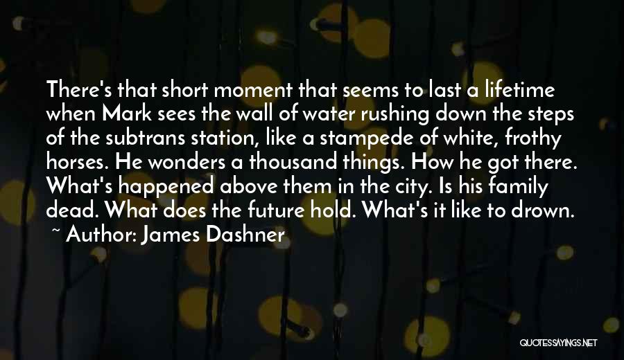 Drown In Water Quotes By James Dashner