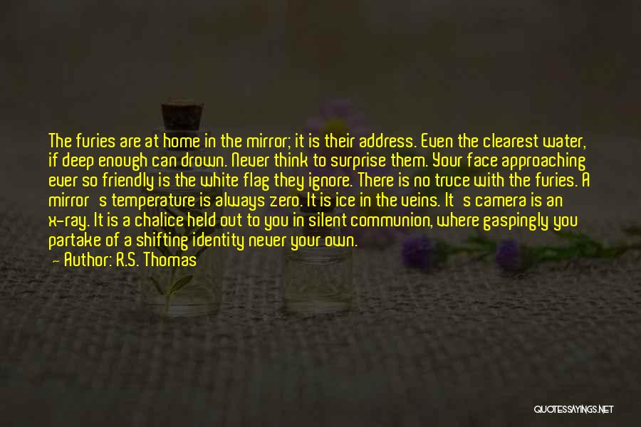 Drown In Water Quotes By R.S. Thomas