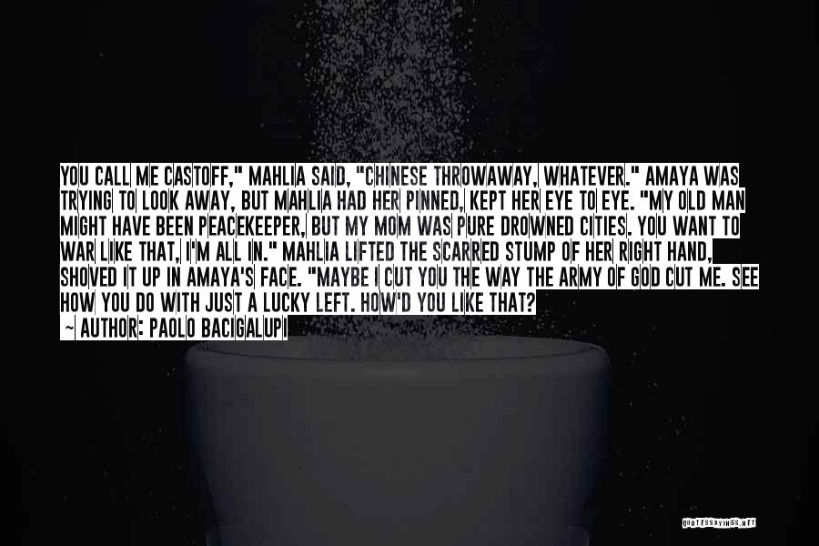 Drowned Cities Quotes By Paolo Bacigalupi