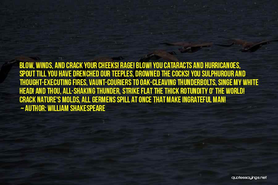 Drowned World Quotes By William Shakespeare