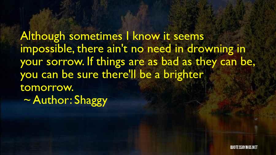 Drowning In Sorrow Quotes By Shaggy