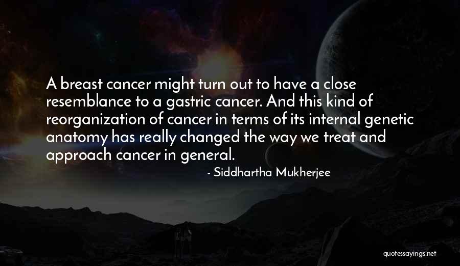 Drowsiness Causes Quotes By Siddhartha Mukherjee Drowsiness Causes Quotes By Siddhartha Mukherjee