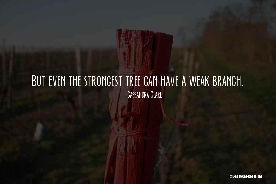 Drozdov Broken Quotes By Cassandra Clare Drozdov Broken Quotes By Cassandra Clare
