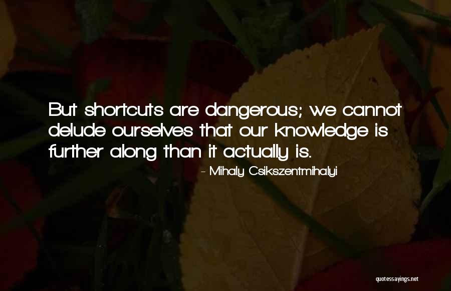 Dru Hicks The Only Reason He Looked Up Quotes By Mihaly Csikszentmihalyi Dru Hicks The Only Reason He Looked Up Quotes By Mihaly Csikszentmihalyi