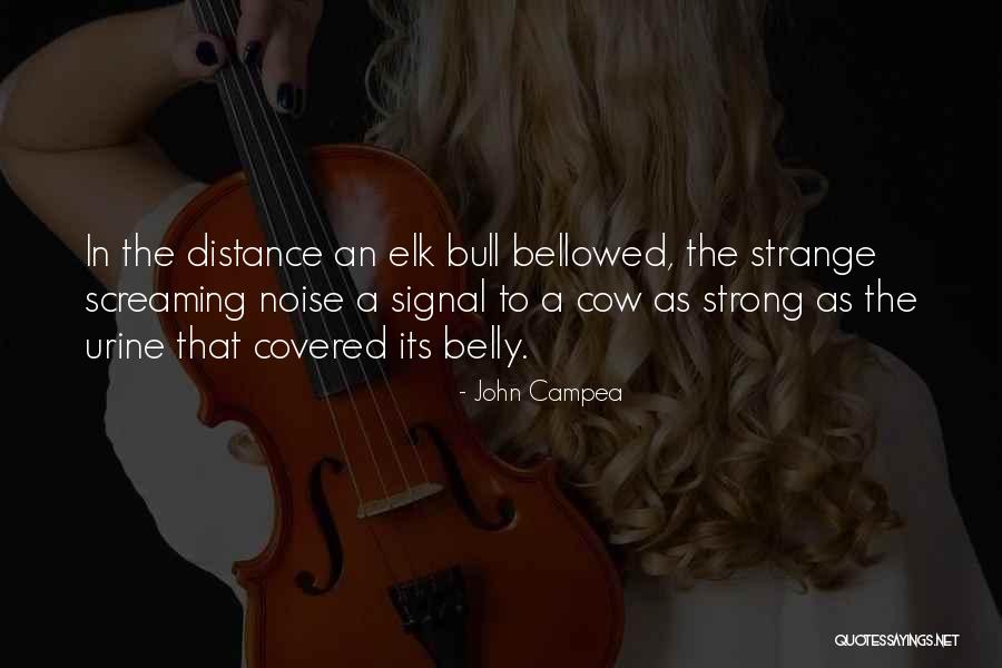 Drucie Isenberg Quotes By John Campea Drucie Isenberg Quotes By John Campea