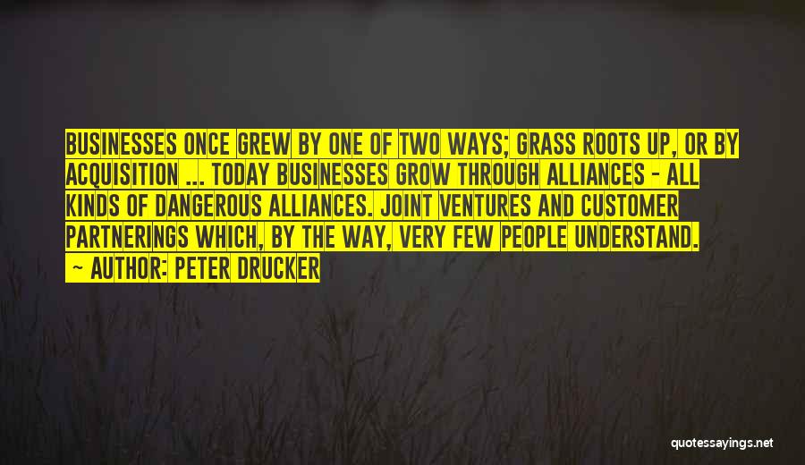 Drucker Customer Quotes By Peter Drucker