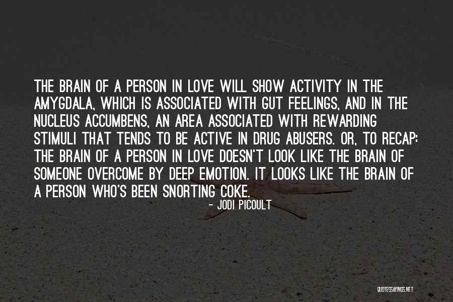 Drug Abusers Quotes By Jodi Picoult