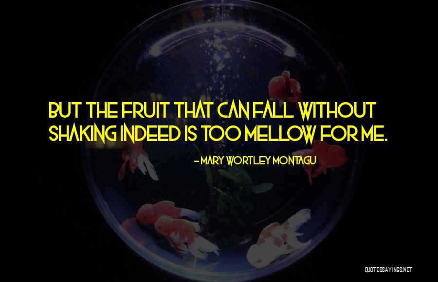 Drug And Alcohol Abuse Quotes By Mary Wortley Montagu Drug And Alcohol Abuse Quotes By Mary Wortley Montagu
