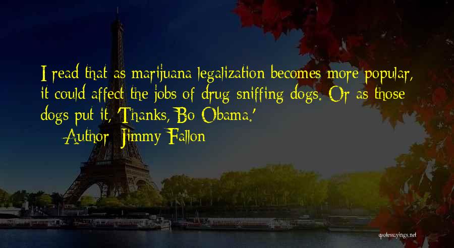 Drug Legalization Quotes By Jimmy Fallon