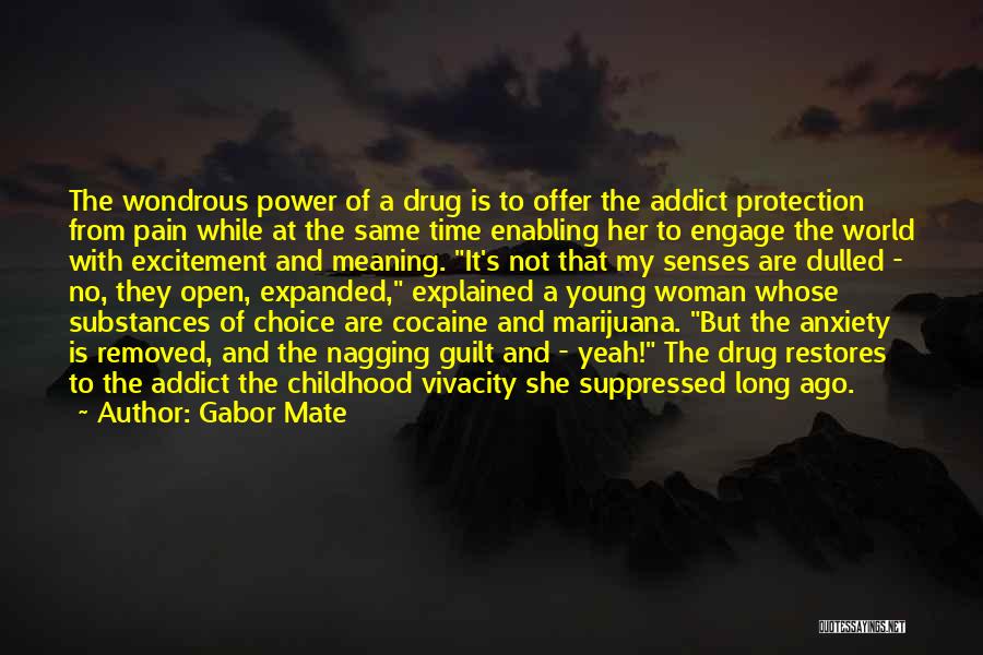 Drug Pain Quotes By Gabor Mate