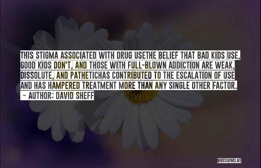 Drug Treatment Quotes By David Sheff