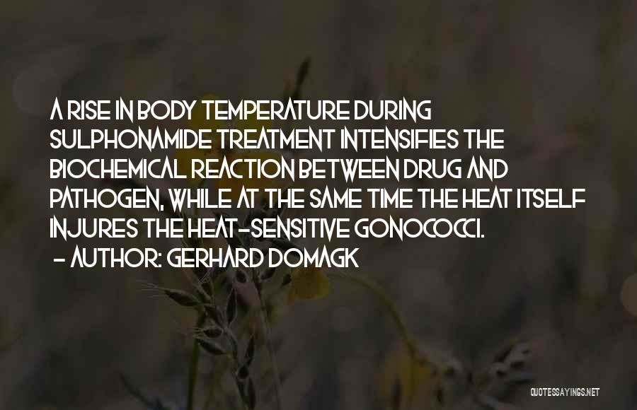 Drug Treatment Quotes By Gerhard Domagk