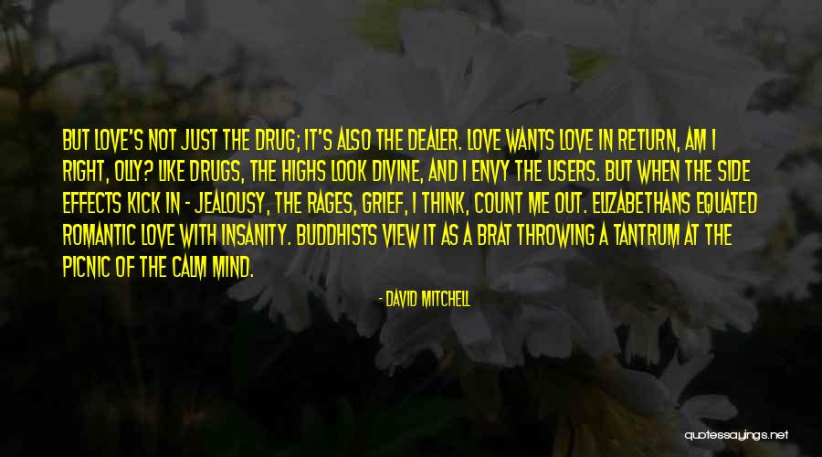 Drug Users Quotes By David Mitchell