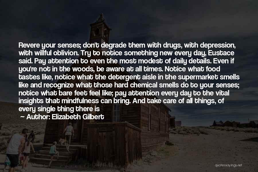 Drugs And Depression Quotes By Elizabeth Gilbert