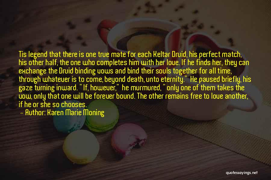 Druid Quotes By Karen Marie Moning