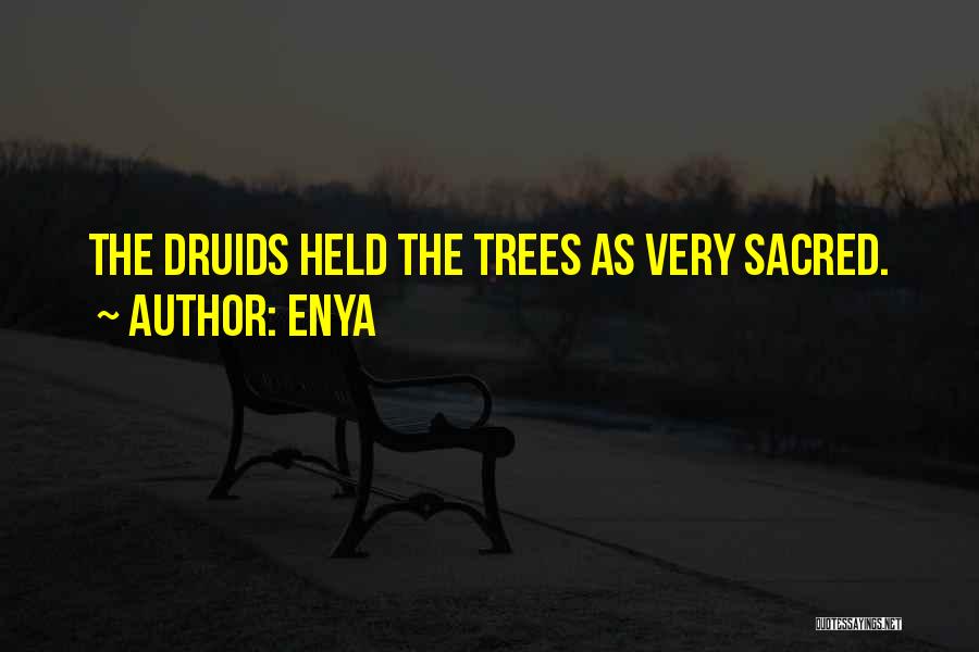 Druids Quotes By Enya