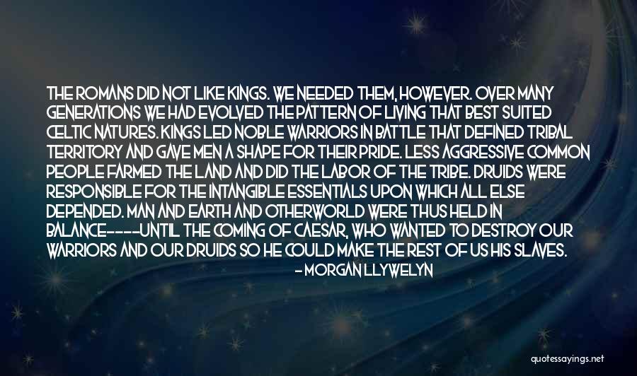 Druids Quotes By Morgan Llywelyn Druids Quotes By Morgan Llywelyn