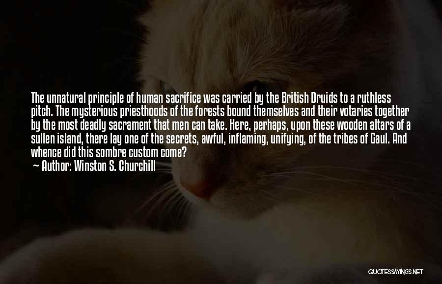 Druids Quotes By Winston S. Churchill
