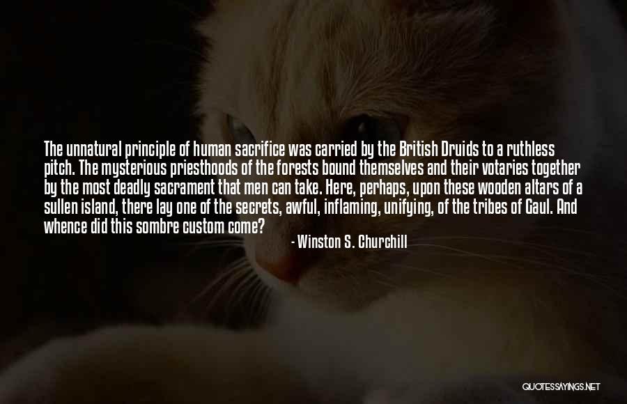 Druids Quotes By Winston S. Churchill