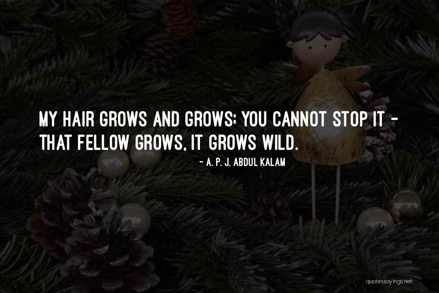 Druillet Salammbo Quotes By A. P. J. Abdul Kalam Druillet Salammbo Quotes By A. P. J. Abdul Kalam
