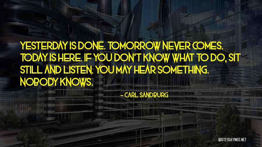 Druknecrose Quotes By Carl Sandburg Druknecrose Quotes By Carl Sandburg