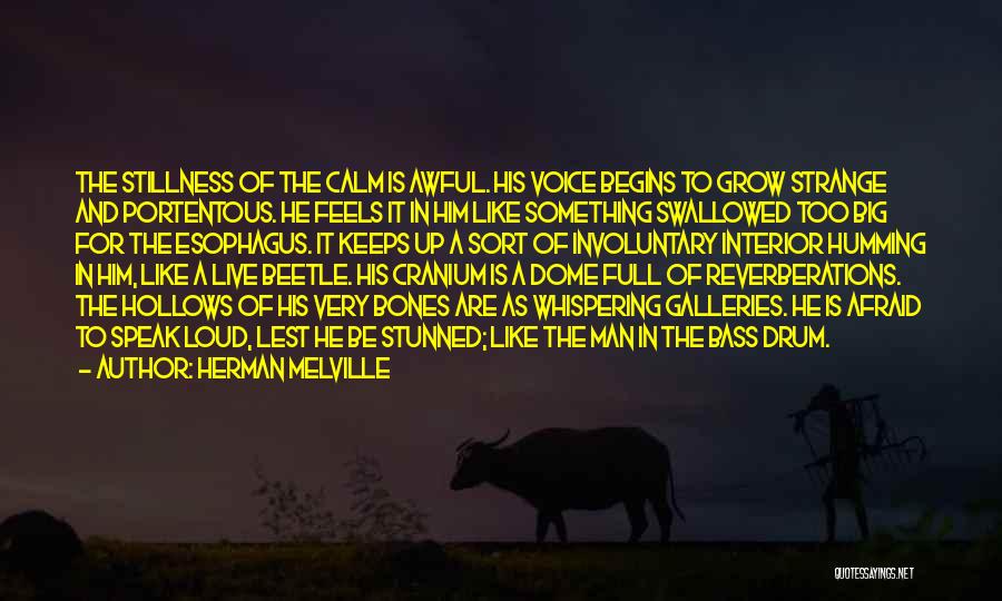Drum Bass Quotes By Herman Melville