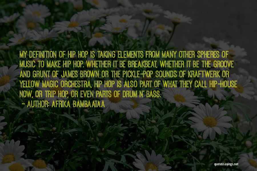 Drum N Bass Quotes By Afrika Bambaataa