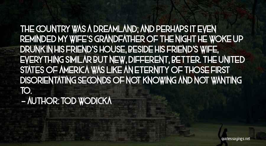 Drunk Best Friend Quotes By Tod Wodicka