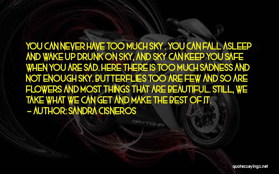 Drunk Fall Asleep Quotes By Sandra Cisneros