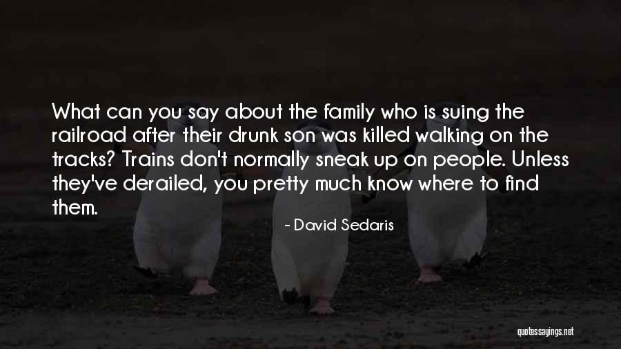 Drunk Family Quotes By David Sedaris