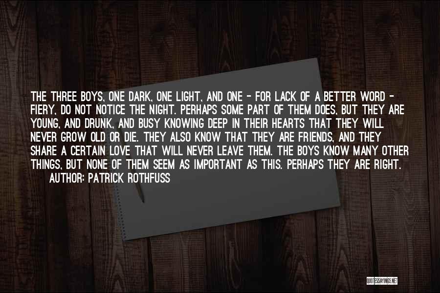 Drunk Friends Quotes By Patrick Rothfuss