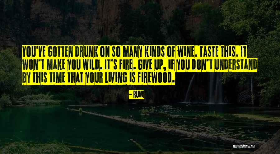 Drunk On You Quotes By Rumi