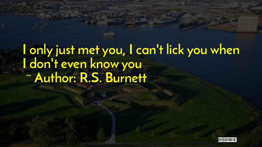 Drunken Behaviour Quotes By R.S. Burnett