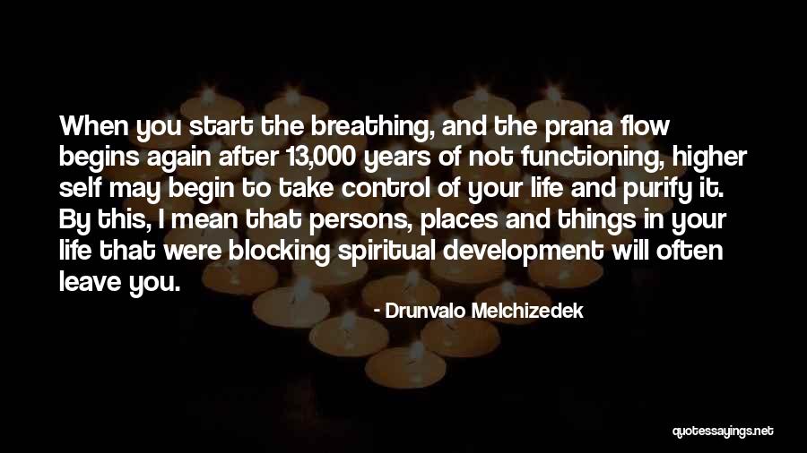 Drunvalo Melchizedek Quotes 2120930