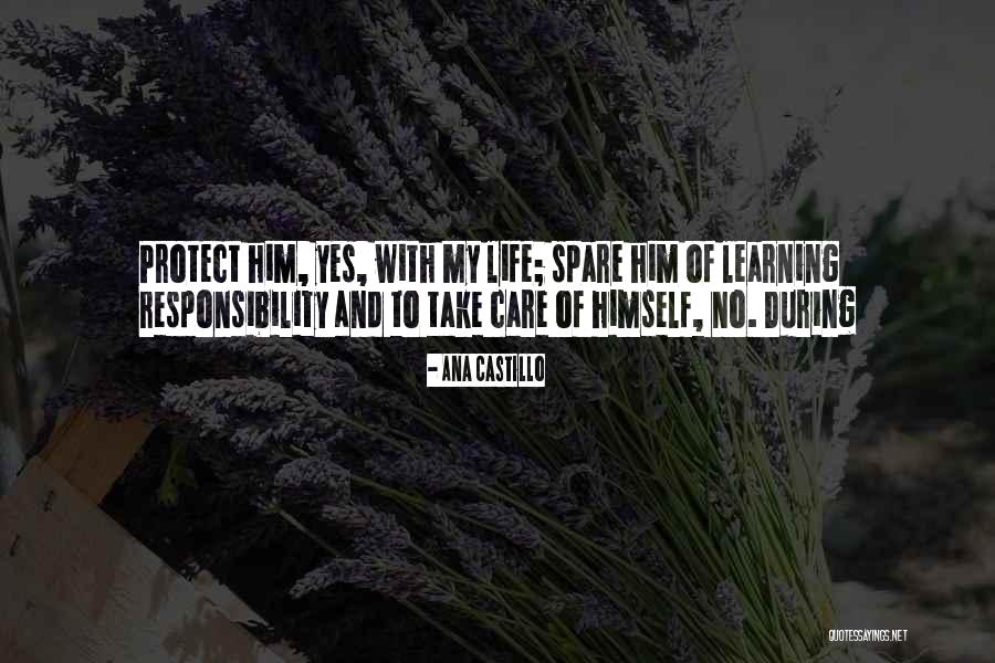 Drupal Web Design Quotes By Ana Castillo Drupal Web Design Quotes By Ana Castillo
