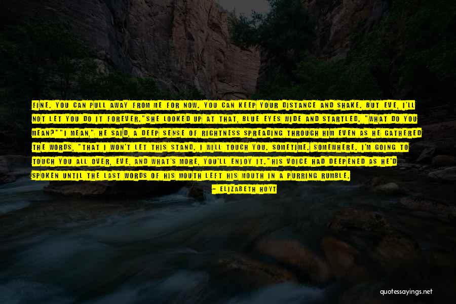 Druses People Quotes By Elizabeth Hoyt Druses People Quotes By Elizabeth Hoyt