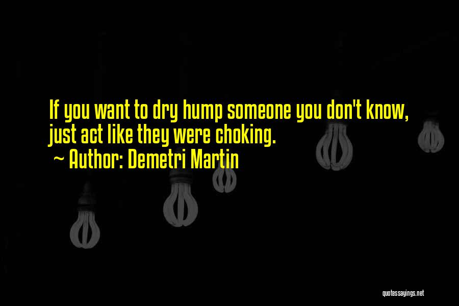 Dry Hump Quotes By Demetri Martin