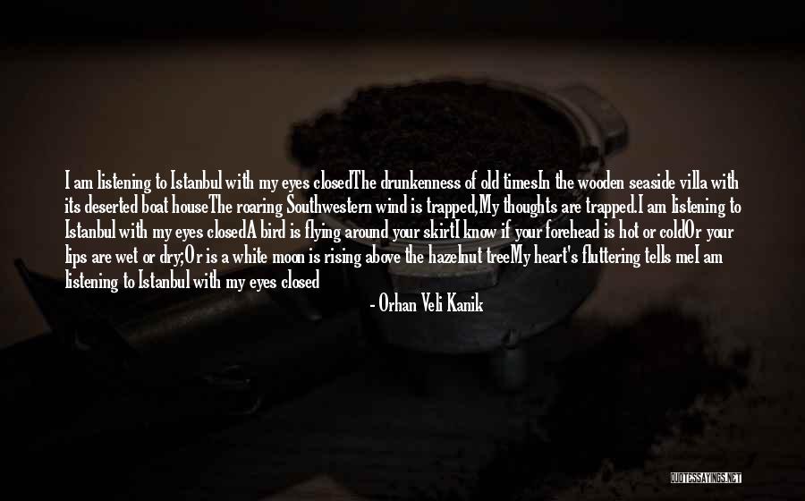 Dry Lips Quotes By Orhan Veli Kanik Dry Lips Quotes By Orhan Veli Kanik