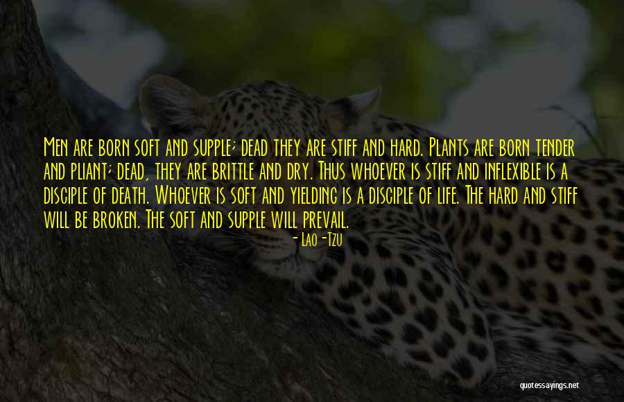 Dry Plants Quotes By Lao-Tzu Dry Plants Quotes By Lao-Tzu