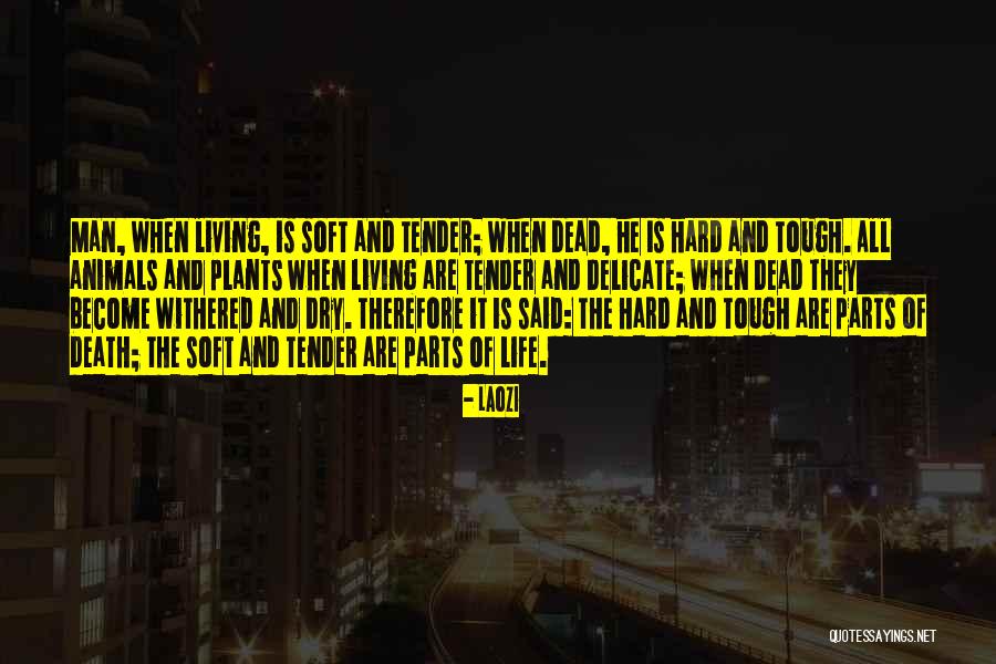 Dry Plants Quotes By Laozi Dry Plants Quotes By Laozi