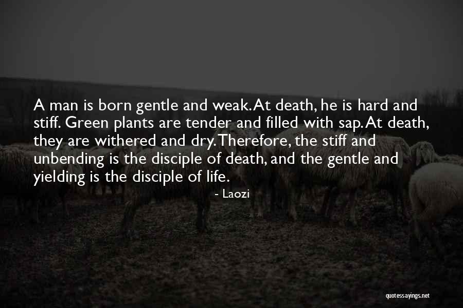 Dry Plants Quotes By Laozi