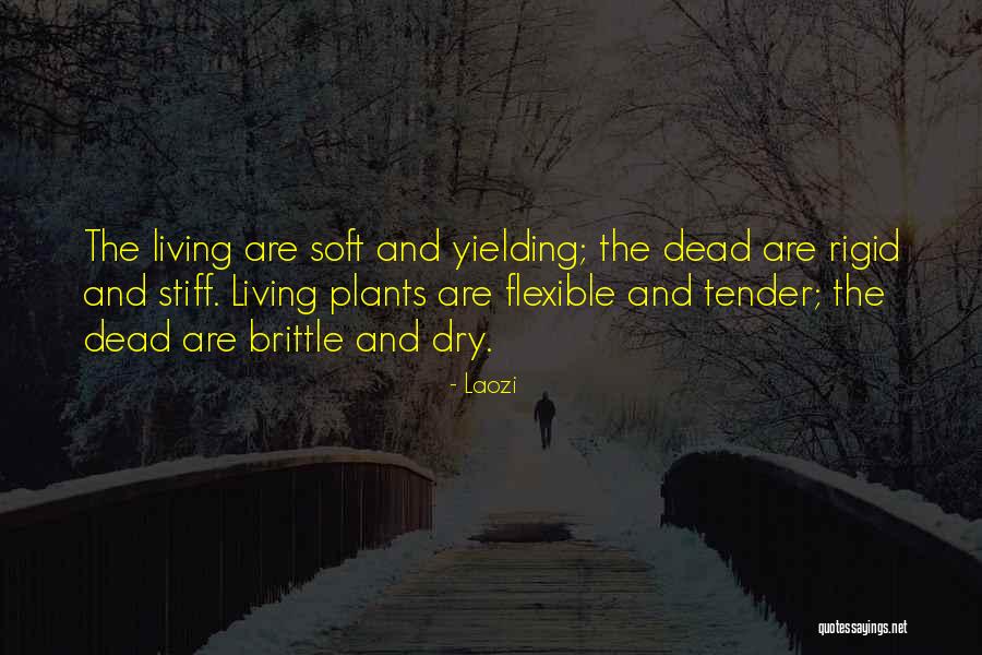 Dry Plants Quotes By Laozi Dry Plants Quotes By Laozi
