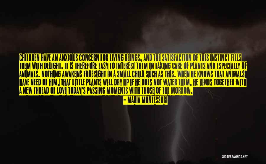 Dry Plants Quotes By Maria Montessori Dry Plants Quotes By Maria Montessori