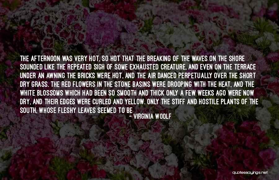 Dry Plants Quotes By Virginia Woolf