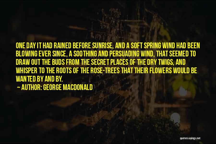 Dry Rose Quotes By George MacDonald