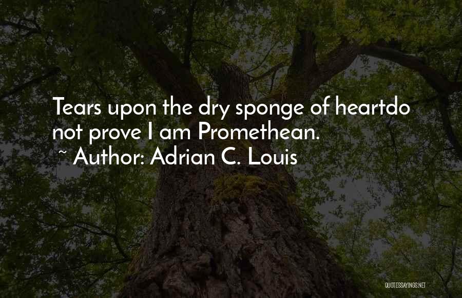 Dry Tears Quotes By Adrian C. Louis