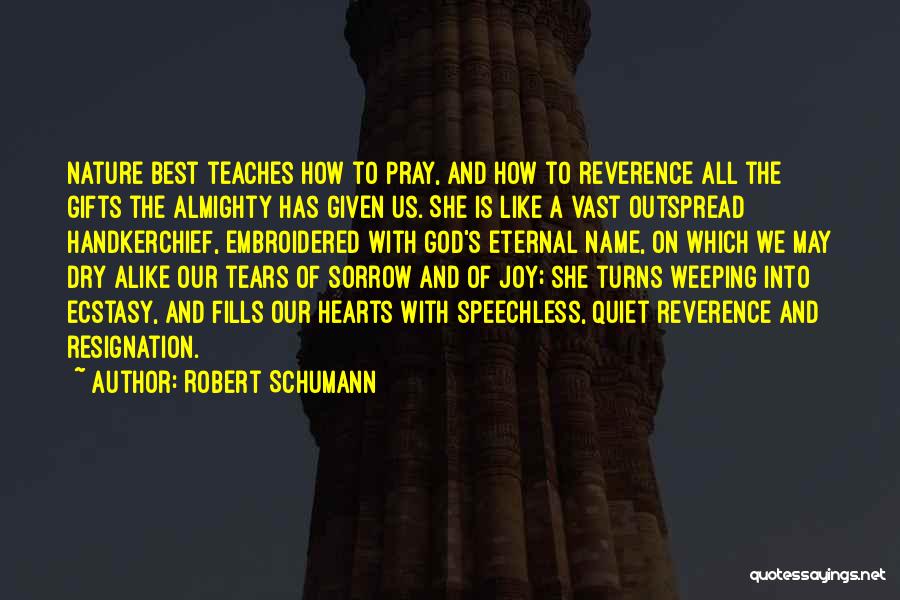 Dry Tears Quotes By Robert Schumann