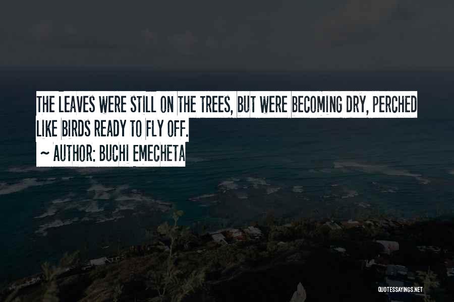 Dry Trees Quotes By Buchi Emecheta