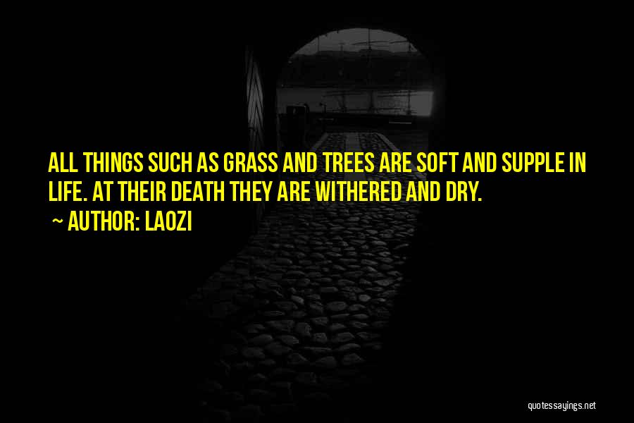 Dry Trees Quotes By Laozi