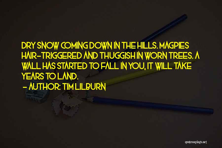 Dry Trees Quotes By Tim Lilburn